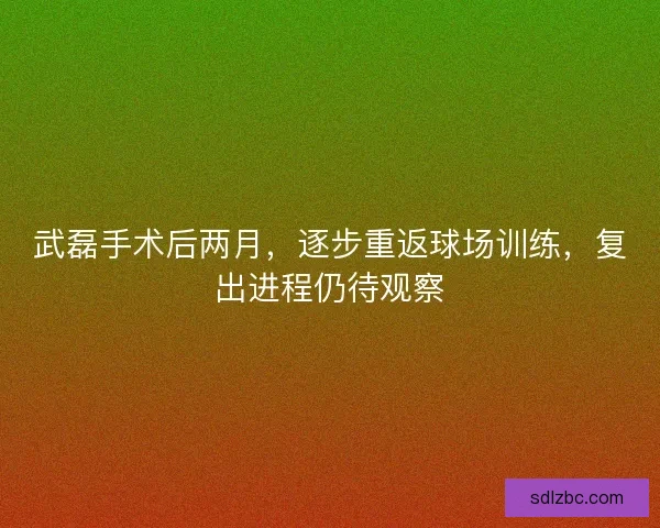 武磊手术后两月，逐步重返球场训练，复出进程仍待观察
