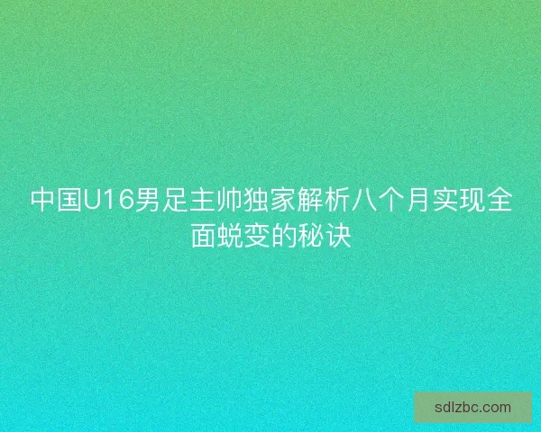 中国U16男足主帅独家解析八个月实现全面蜕变的秘诀